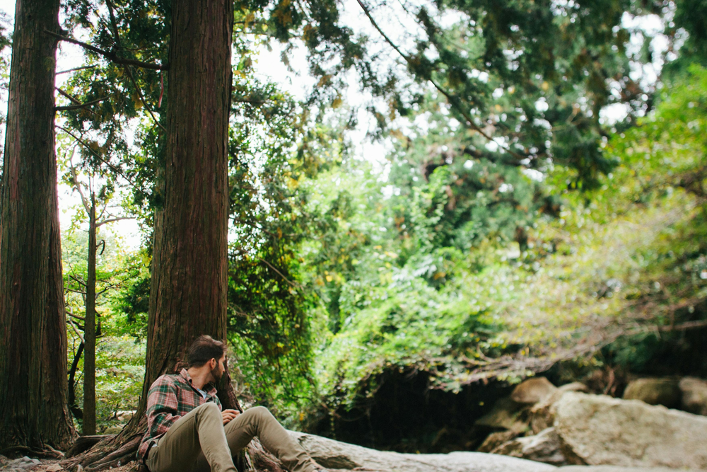 Whispers Between the Leaves: Rediscovering Life in the Pause Unplagged
