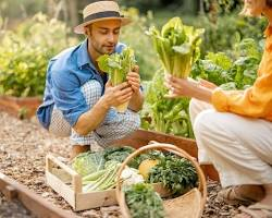 Unlock Abundance: Your Complete Guide to Growing Your Own Food for Sustainable Living "A person practicing sustainable living by growing their own food and harvesting organic vegetables like lettuce and radishes from a home garden."