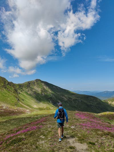 Man hiking in a stunning mountain landscape during sunrise, surrounded by lush greenery and clear blue skies, enjoying mindful movement in nature. Man hiking in a stunning mountain landscape during sunrise, surrounded by lush greenery and clear blue skies, enjoying mindful movement in nature.