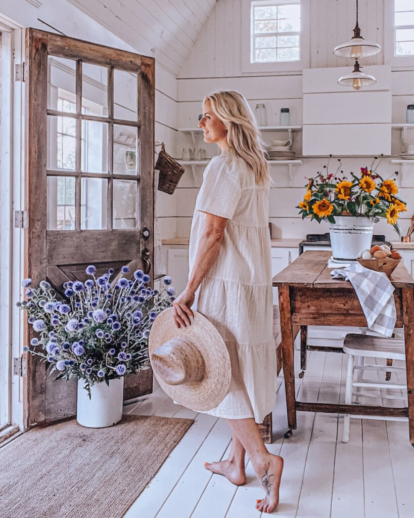 Bright, minimalist room with natural light and a single plant—calm budget living space.