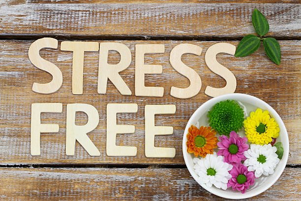 Beyond the Hype: How Mindfulness-Based Stress Reduction (MBSR) Can Give You Your Life Back Mindfulness Based Stress Reduction