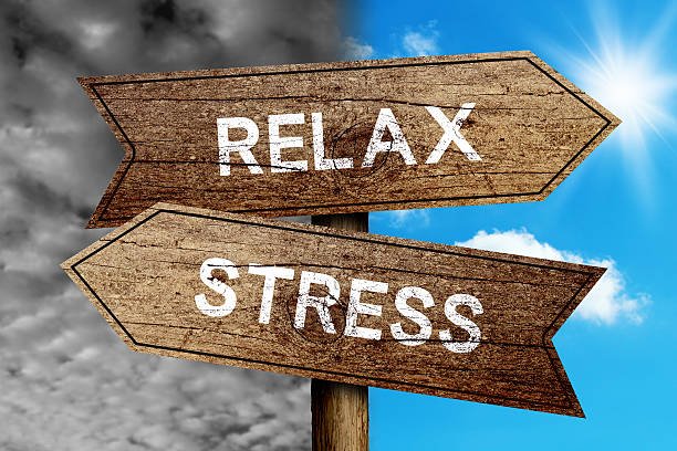 Your Gentle Guide to Calm: Guided Mindfulness  for Effortless Anxiety Relief (Find Peace Today) Image 17
