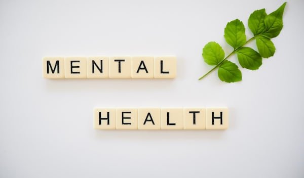Sustainable Living: 9 Powerful Ways It Boosts Your Mental Wellness “Close-up of a peaceful, mindful moment — a person’s hands gently holding a small green plant in soft natural light, symbolizing mental wellness and growth.”
