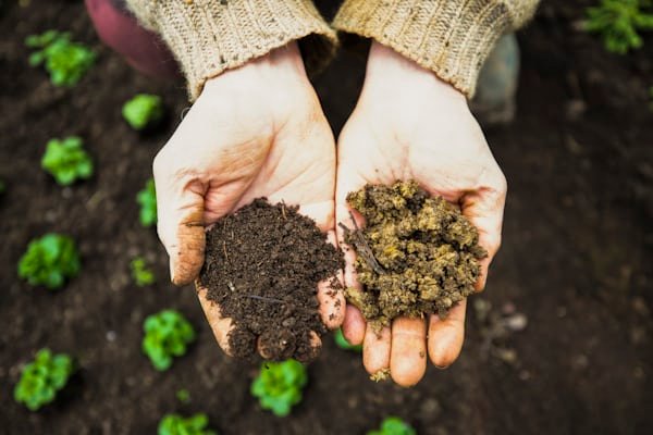 Sustainable Living Hacks: 15 Easy Ways That Actually Make a Difference Image 7