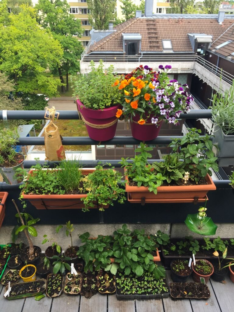 A thriving balcony garden full of green plants, the perfect result of following a beginner's guide to urban gardening.