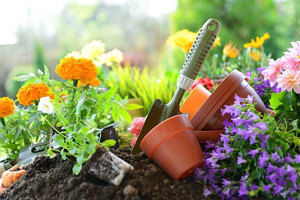 An urban garden of colorful flowers in pots, showing how beginners can add beauty to a small outdoor space like a patio or balcony.