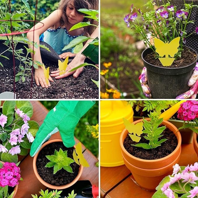 A 20-pack of Kensizer yellow sticky traps, showing various shapes like butterflies and flowers, used as an organic pest control method to protect urban garden plants from fungus gnats and fruit flies.