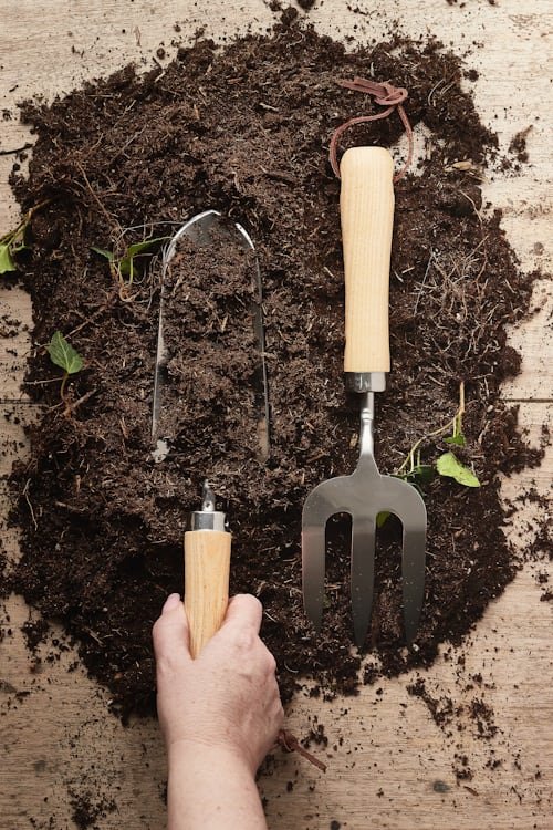 A collection of the essential urban gardening tools you need, including a trowel, hand fork, watering can, pruning shears, and gloves, all neatly arranged on a wooden background.
