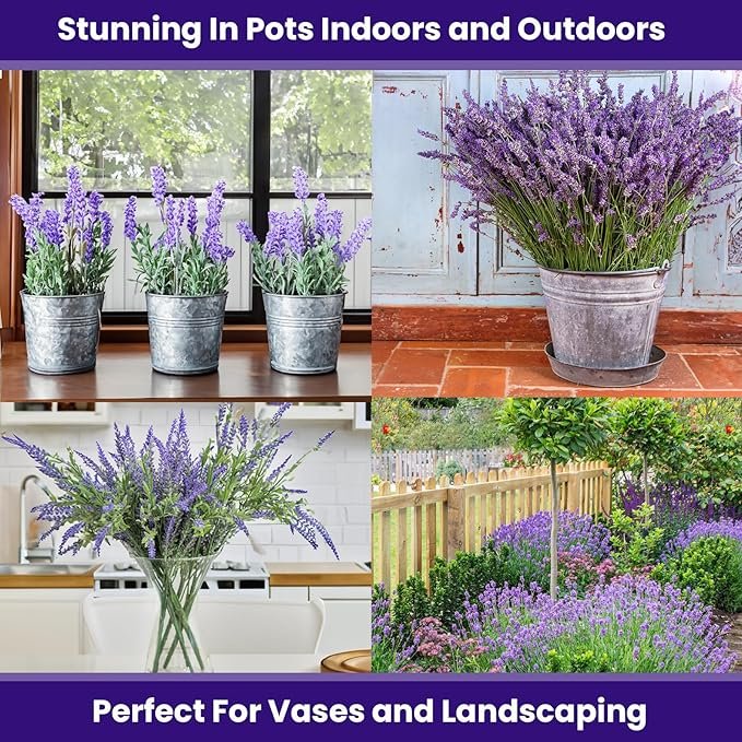 Beyond Basil: 5 Fragrant Herbs for Your Vertical Garden to Calm a Busy Mind Image 85