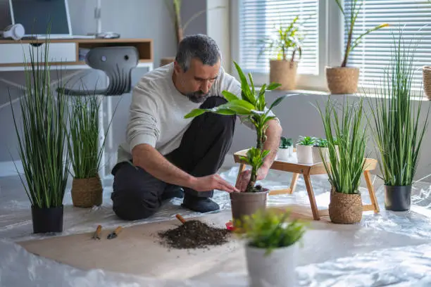 A smiling man applying home gardening techniques by tending to a lush green plant in a modern hanging planter, showcasing a popular method for urban spaces.