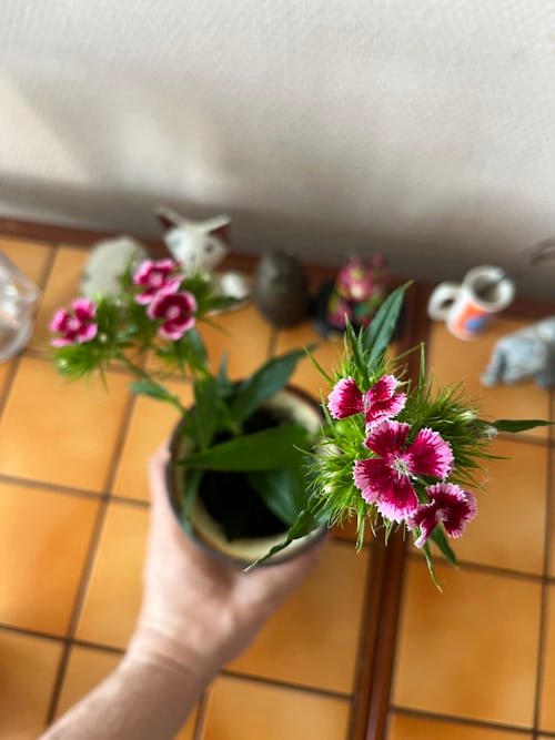 photo 1656339302794 f866b1240219