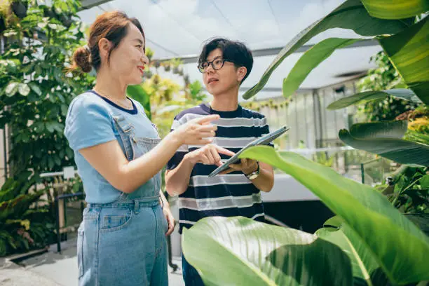 two asian farmers in a greenhouse field use tablet computers to inspect and record the growth